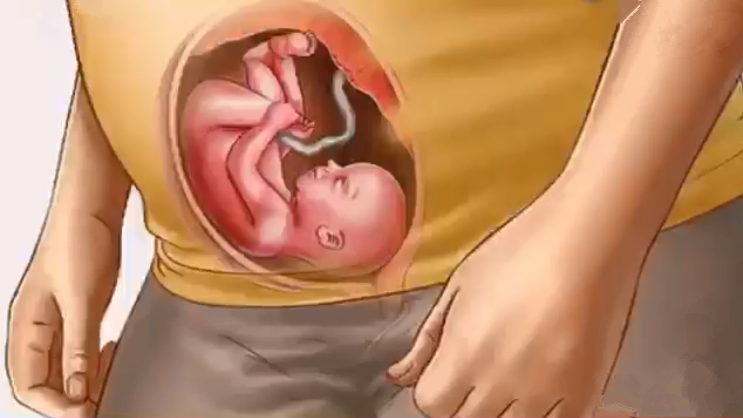 发育,另外有些宝妈会在这个时候出现尿频的现象,那是因为胎儿体重变大