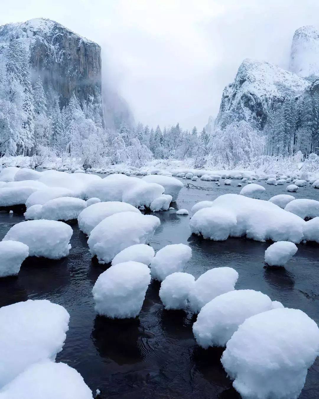 全球雪景觀賞