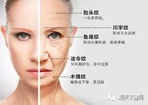 抬頭紋:一生多勞碌; 5.鼻背紋