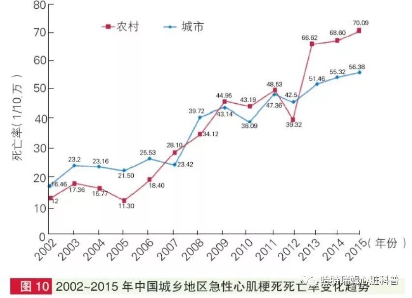 爆发性心肌炎死亡率图片