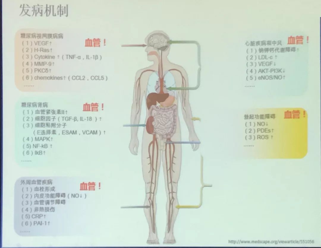 發病機制figure 1糖尿病合併的危險因素越多,併發症也會越多.