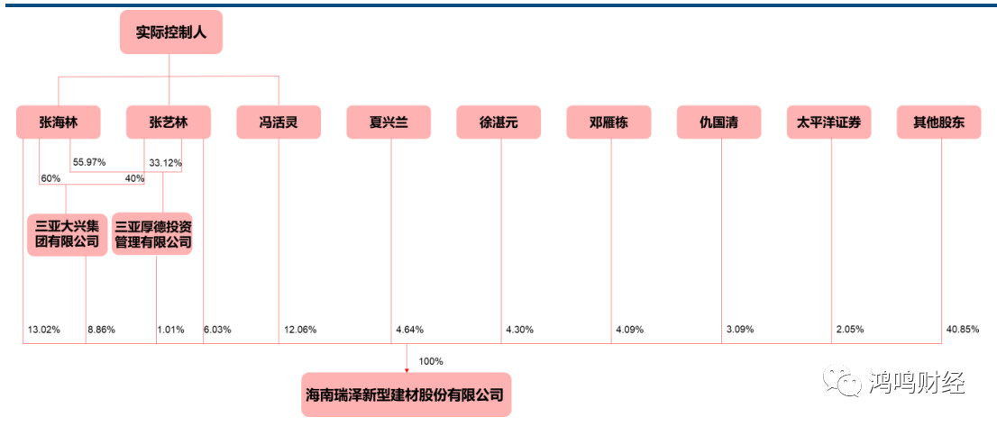 海南瑞泽张艺林简介图片