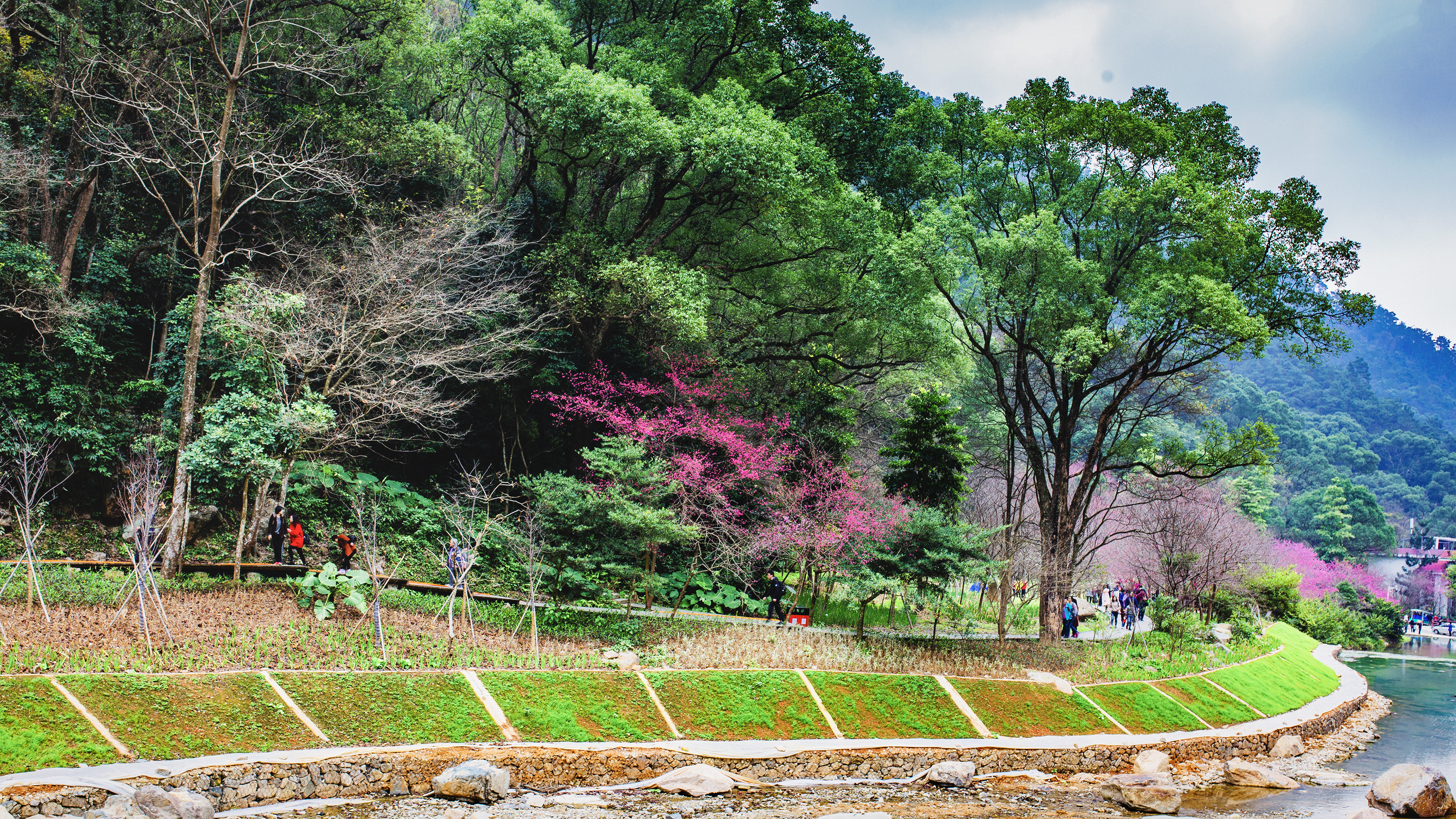 冬日福州哪裡去?森林公園絕對是休閒健身的好去處