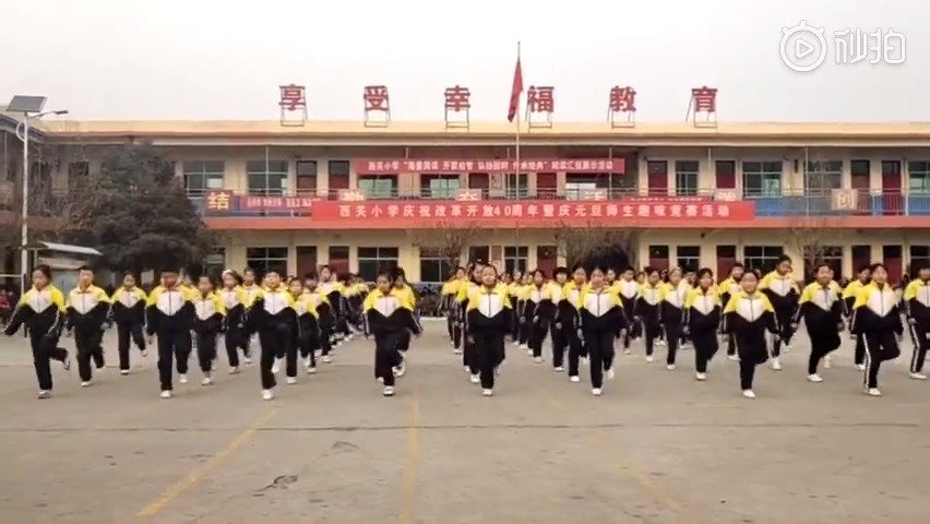 张鹏飞简介小学校长图片