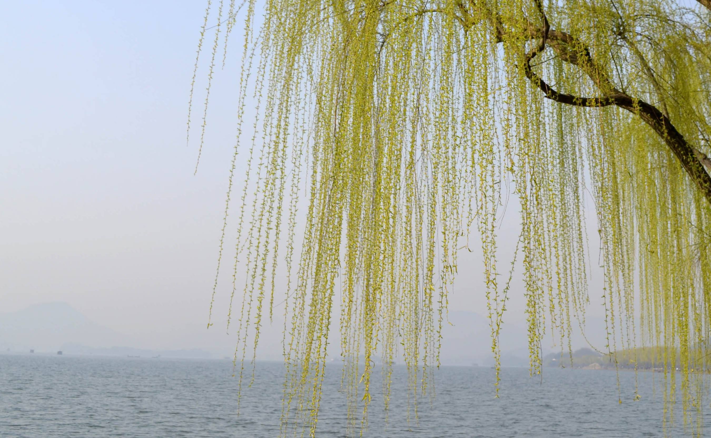 讀睡古詩詞 煙雨濛濛心韻飄,陌煙冉冉雨如簫