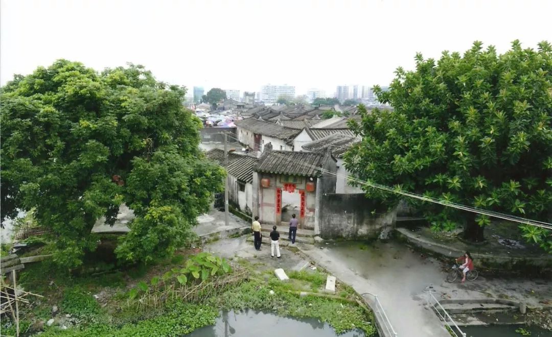 據我所知,榕城區東興街道玉浦社區黨委書記黃俊杰,是揭陽市內擔任這一