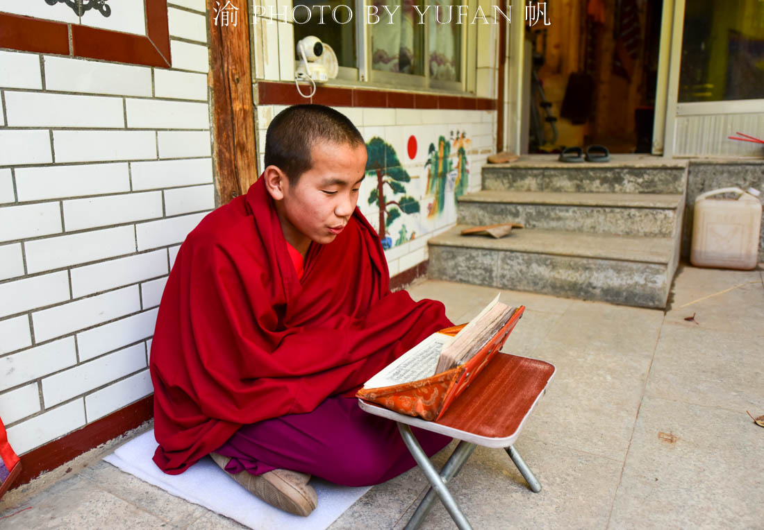 揭秘藏传佛教里喇嘛的日常生活与学习，可能与你想你的不一样