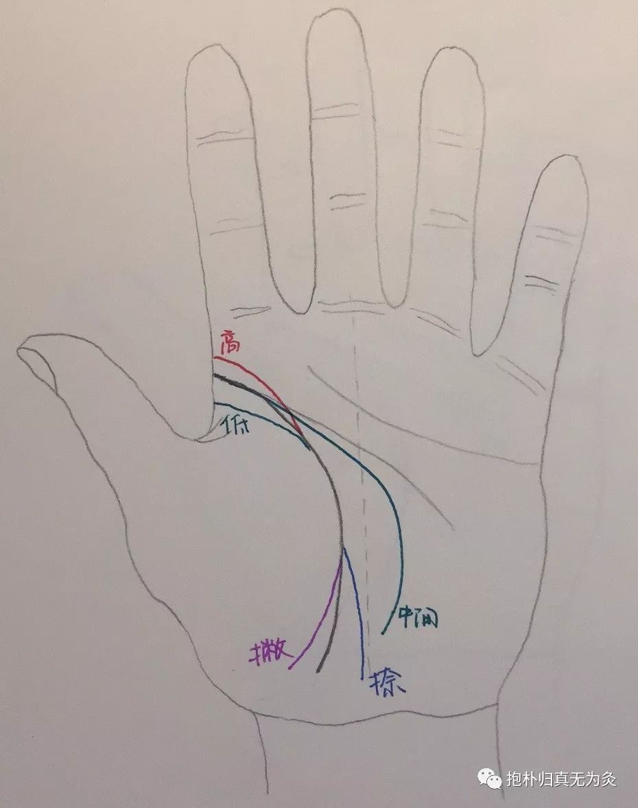 无为灸认识手纹的三条主线王老师临床经验总结纯干货