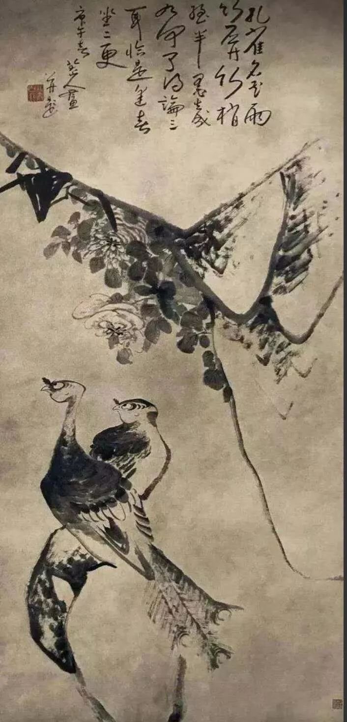 朱耷孔雀牡丹图的寓意图片