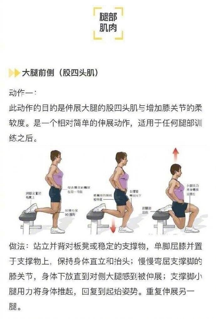 锻炼大腿肌肉动作图解图片