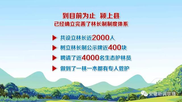 到目前为止,颍上县已经确立完善了林长制制度体系,全