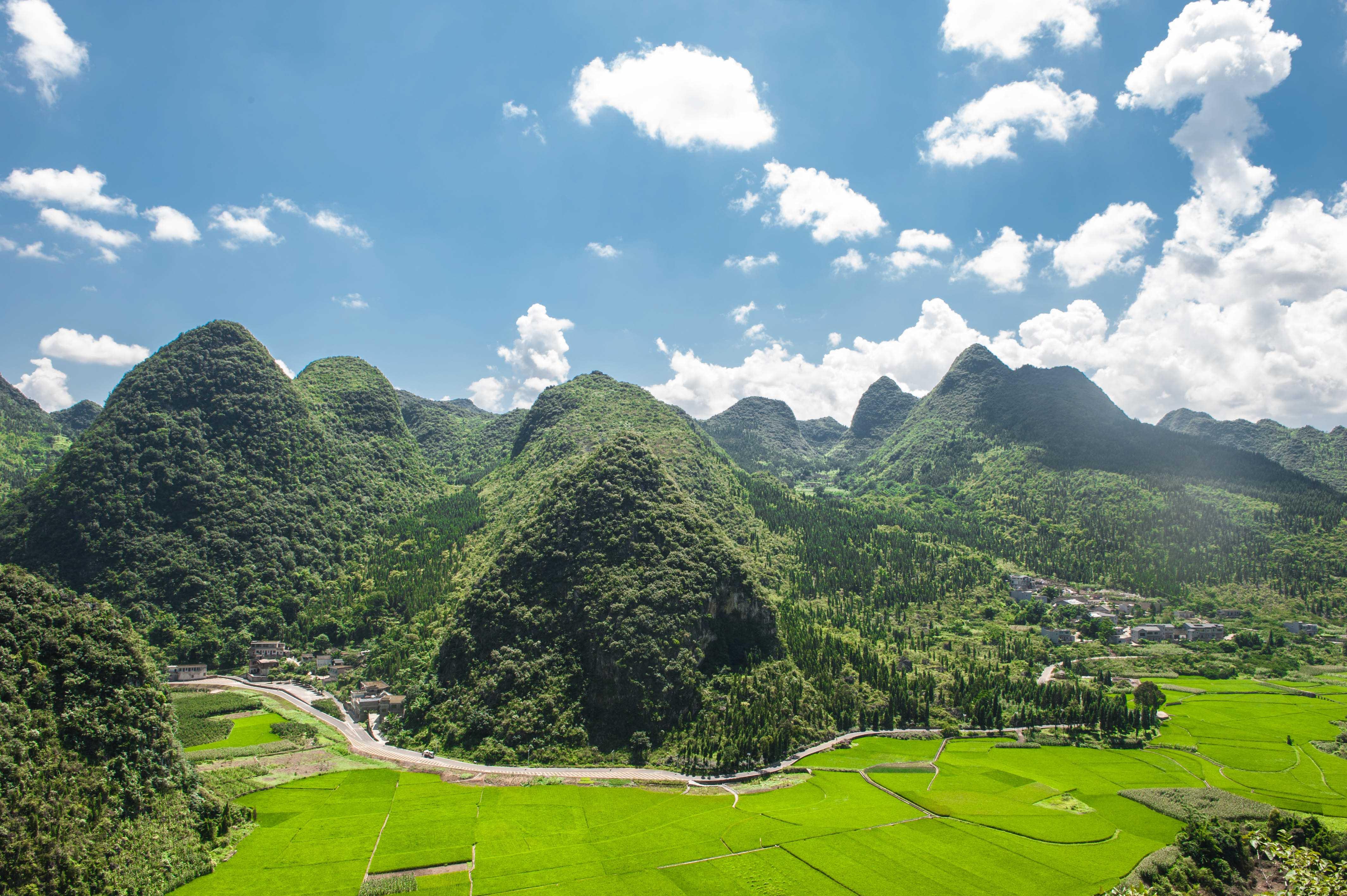 层林尽染的山峰图片