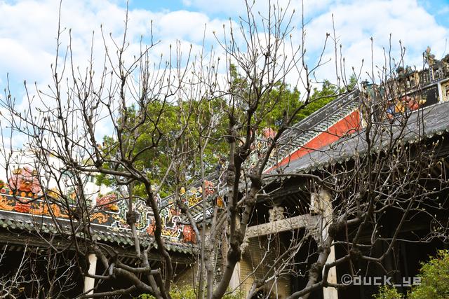 原創
            125歲的陳家祠，薈萃嶺南民間建築裝飾藝術之大成，廣州必打卡 旅遊 第6張