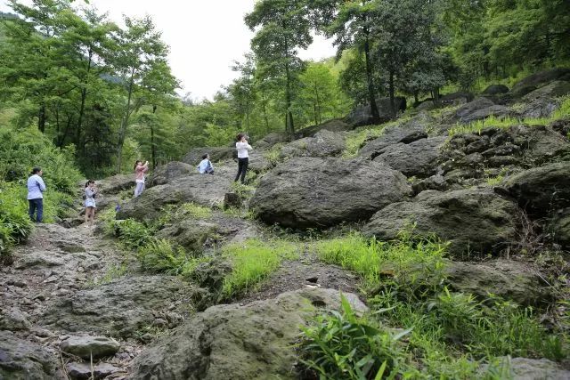 尖山下村位於戴村鎮雲石風景區,村內擁有蕭山十景——響天竹風,億年