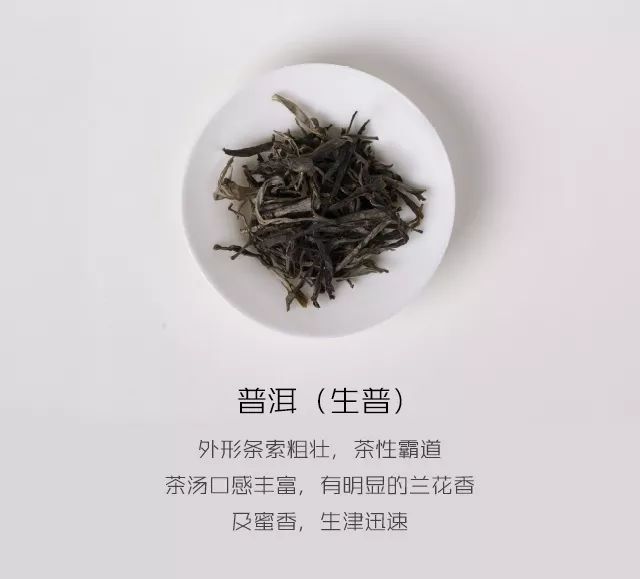 正能量茶语图片