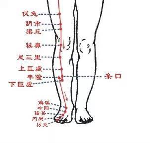 大腿上减肥经络图图片