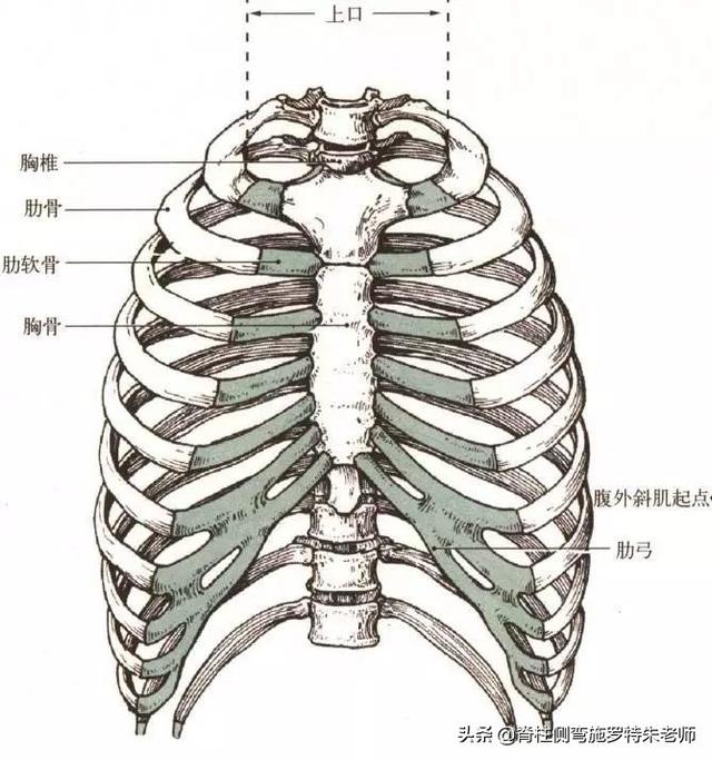 治不好的心脏病跟反复发作的肠胃病是怎么回事