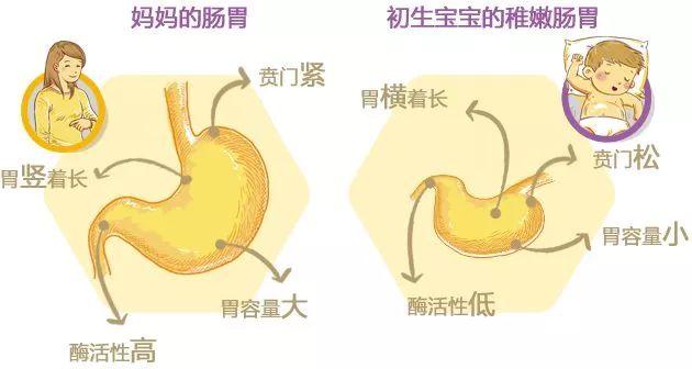 吐奶严重小心宝宝胃食管反流附推拿手法