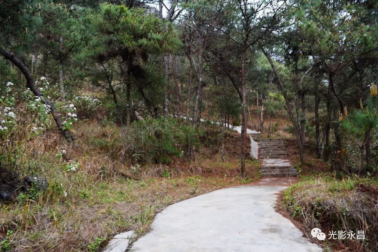 2017年4月4日,草根騎行拍於雲南保山未來的東山森林公園.