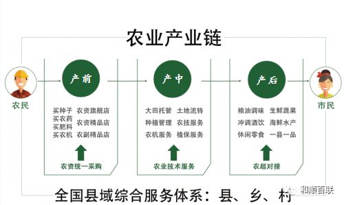 以公共服务机构为主导,多元化和社会化的市场主体广泛参与的新型农业