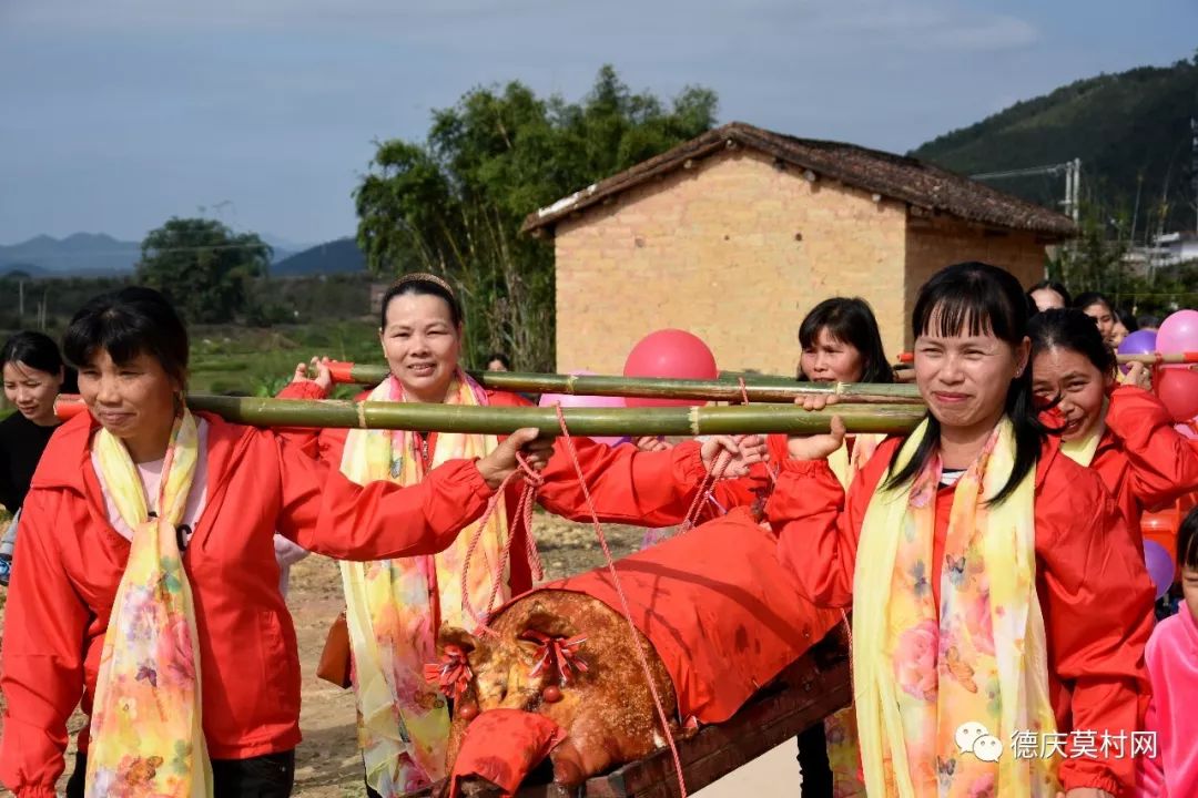 两人抬猪图片图片