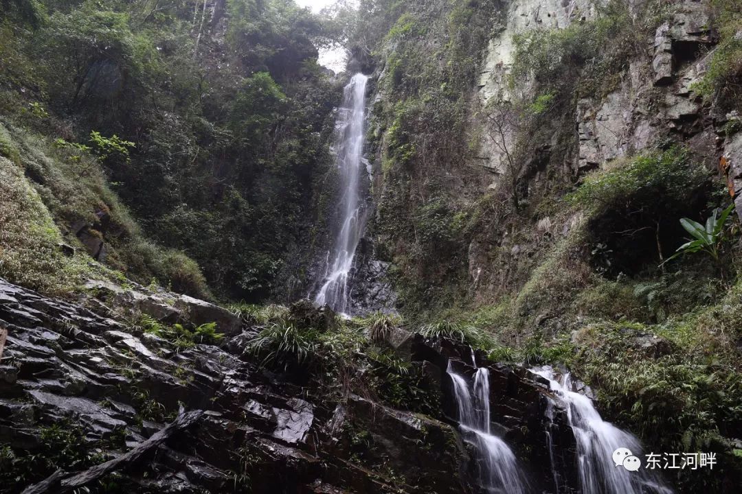 大水坑村