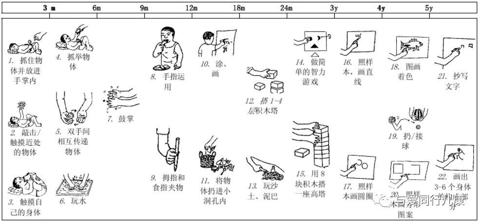 從(精細運動控制)(粗大運動控制)正常兒童發育圖譜其實寶寶每個月的