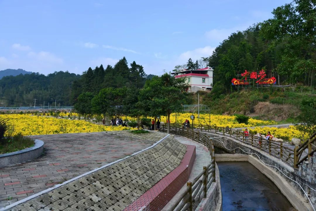 咱们村来了位上海籍村书记~记武平捷文村驻村书记陈霞青