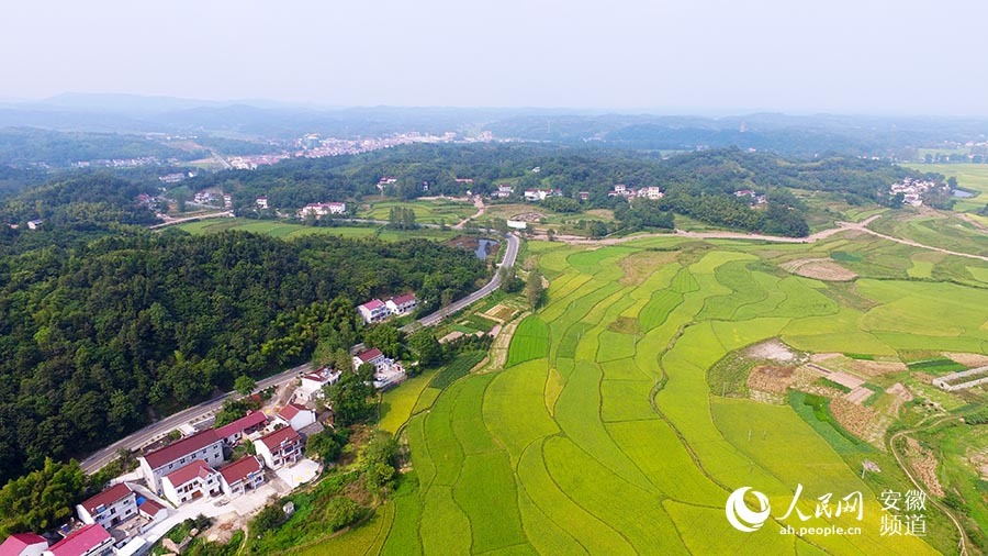 六安金安区:旅游扶贫让风景变"钱"景