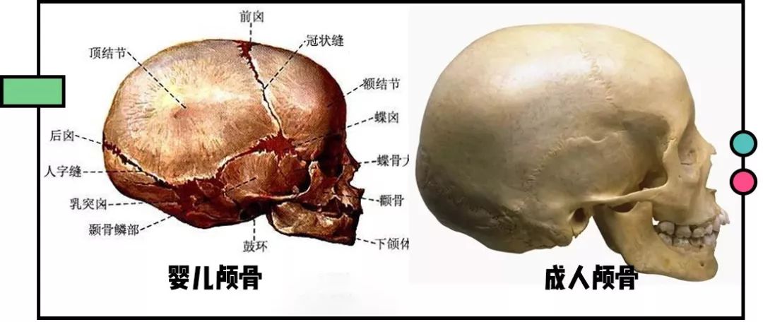 徒手整容是你傻还是我傻?