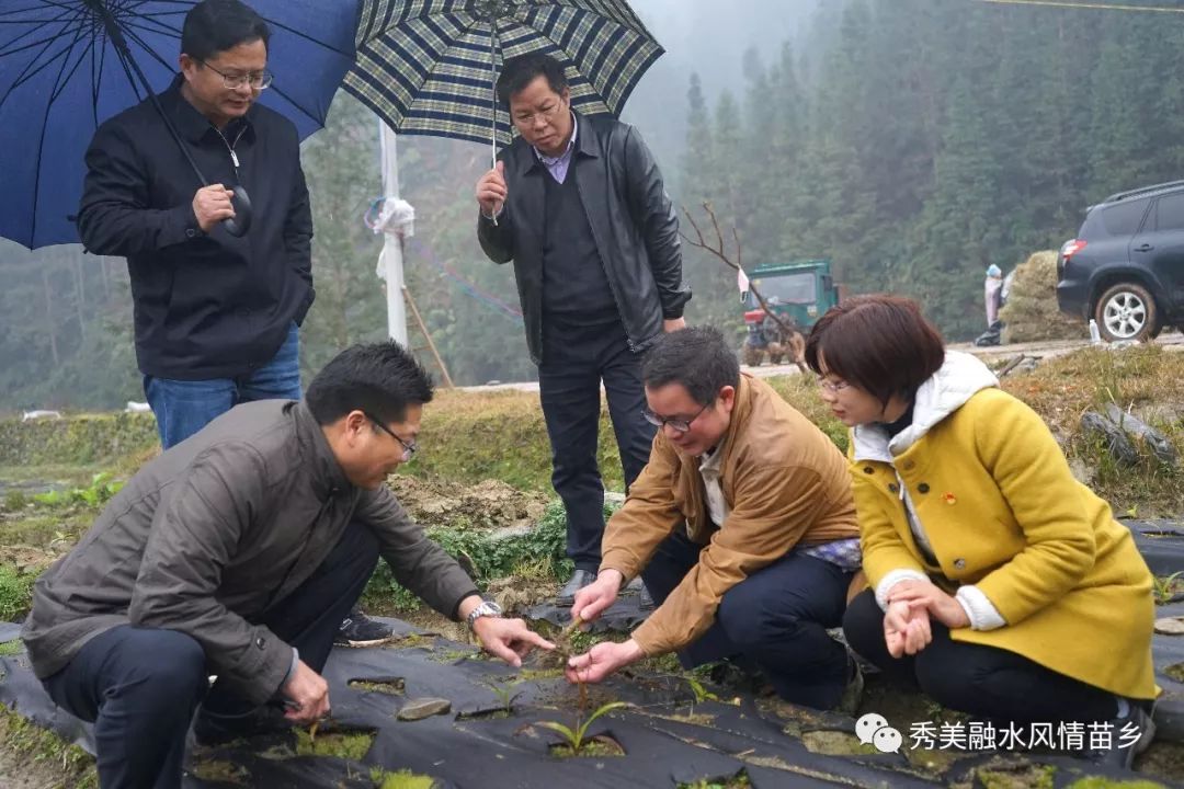 柳州市委副书记梁旭辉到融水县深度贫困村开展脱贫攻坚工作调研