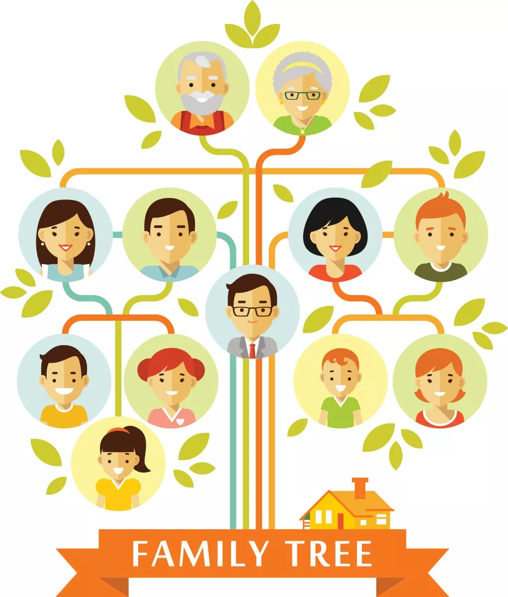 family tree卡通图片