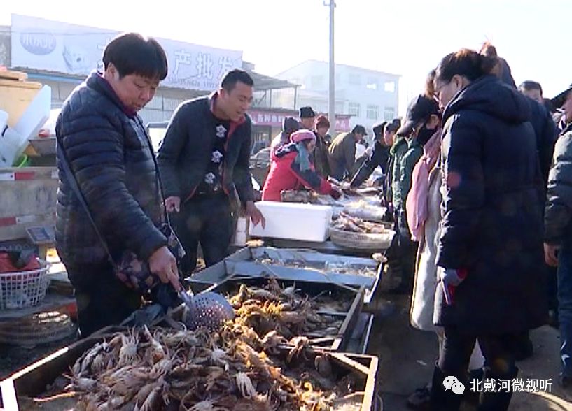 美丽河北e起过年北戴河牛头崖大集逛大集购年货欢喜过大年