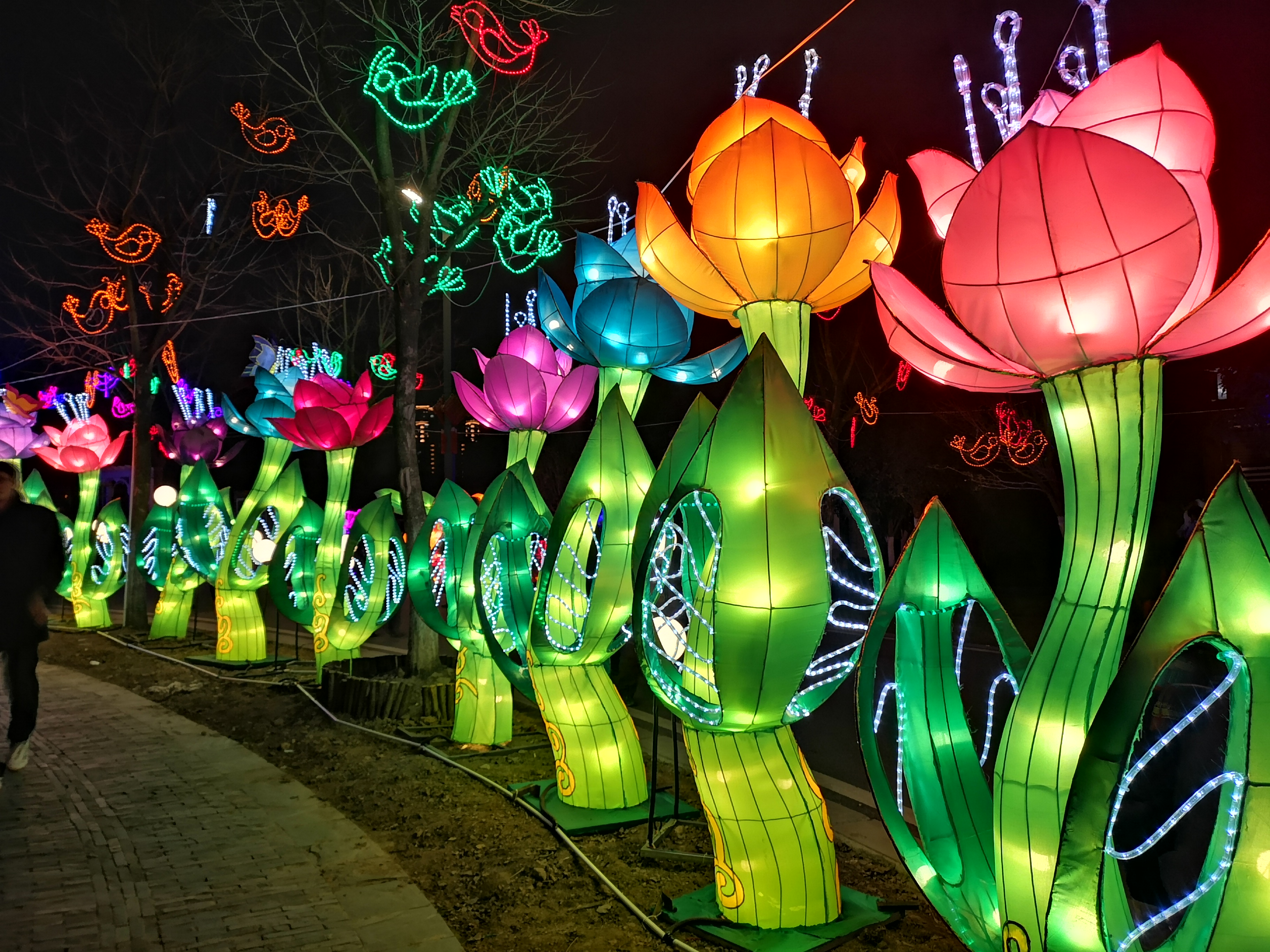 游玩武汉园博园灯会,色彩缤纷彰显出荆楚风采