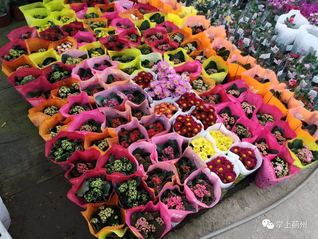 蓟州花卉市场图片