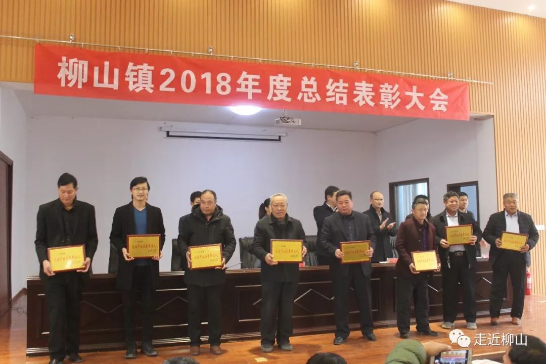 柳山镇召开2018年度总结表彰大会