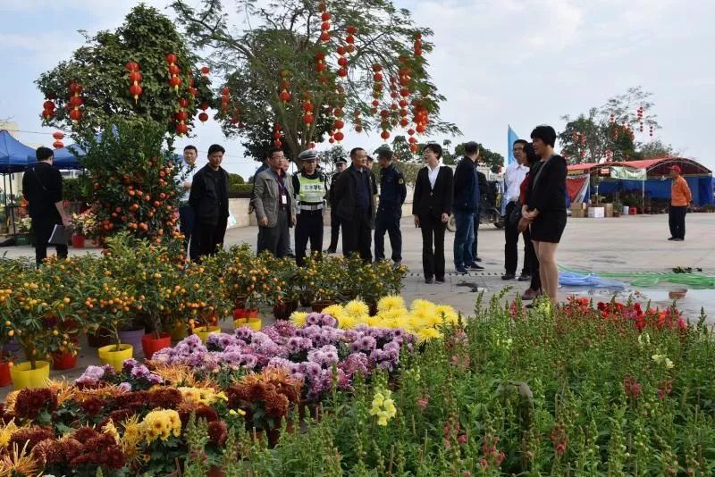 三水白坭镇长何海虹图片