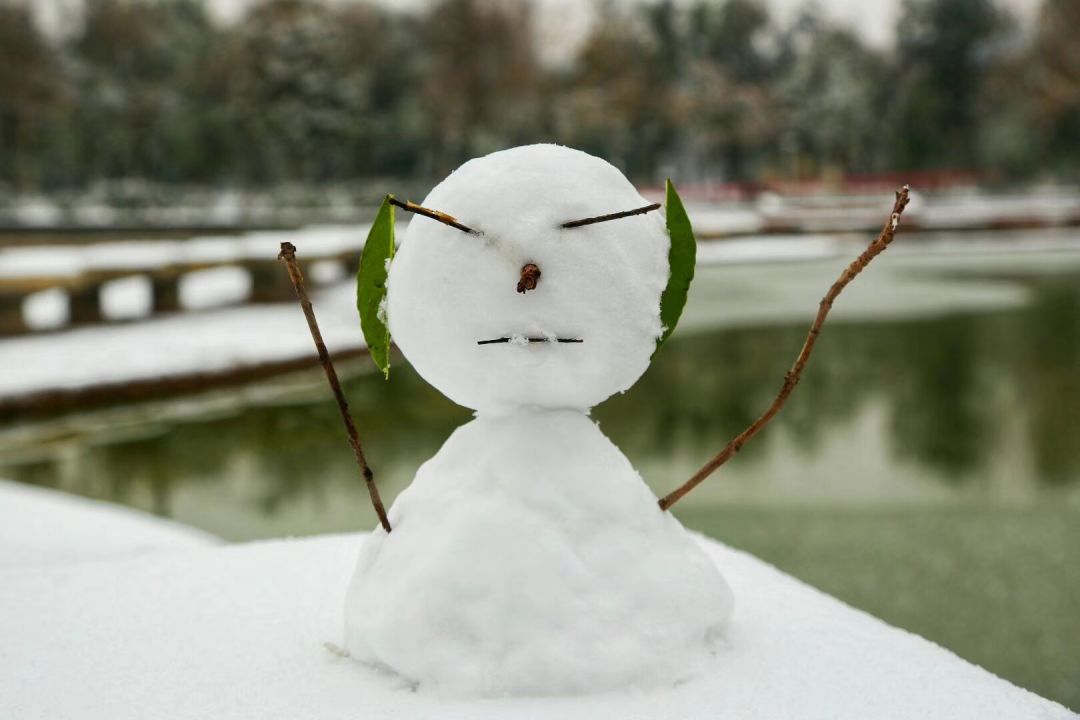 鹅毛大雪表情包图片