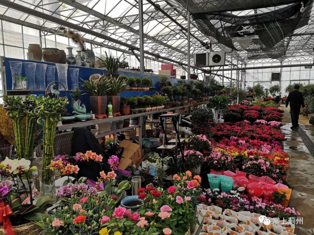 蓟州花卉市场图片