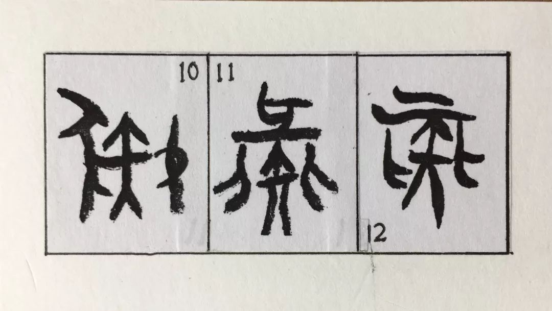 猪字演变图片