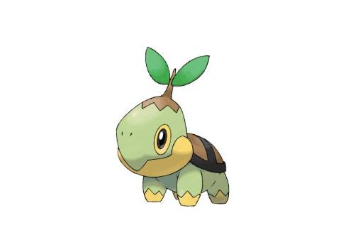 草苗龟被分类为嫩叶宝可梦,属性为草系;草苗龟是一只小型乌龟宝可梦