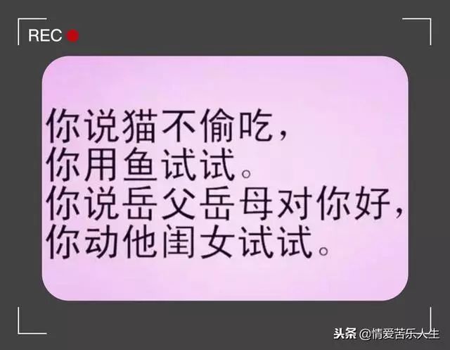 心字三個點無一不往外蹦別試探人心一試全劇終