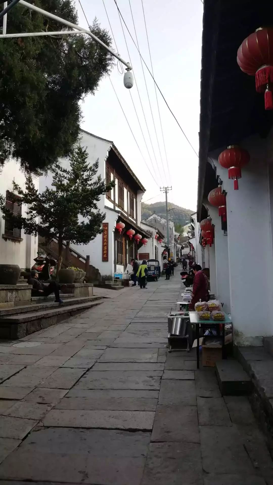 古樹參天,梅香四溢,還有你兒時的年味……慈溪這個古村,很值得一去