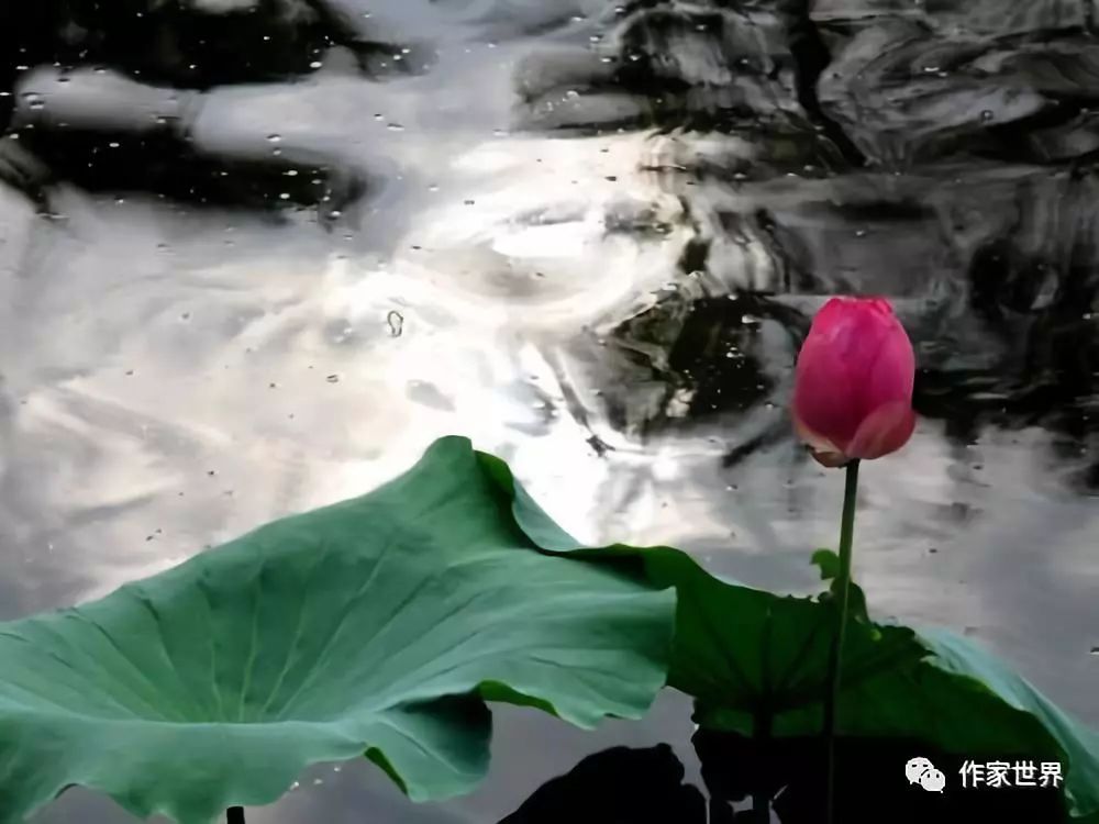 那边随风飘荡的牛铃我依然能听到远山很远进驻到渴望抚慰的心底倏然间