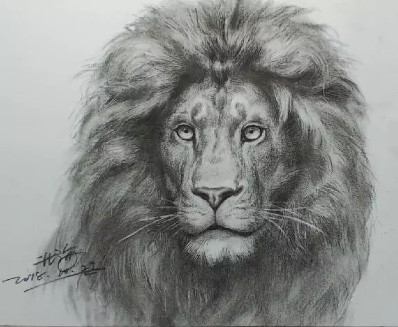 狮子头画法素描图片