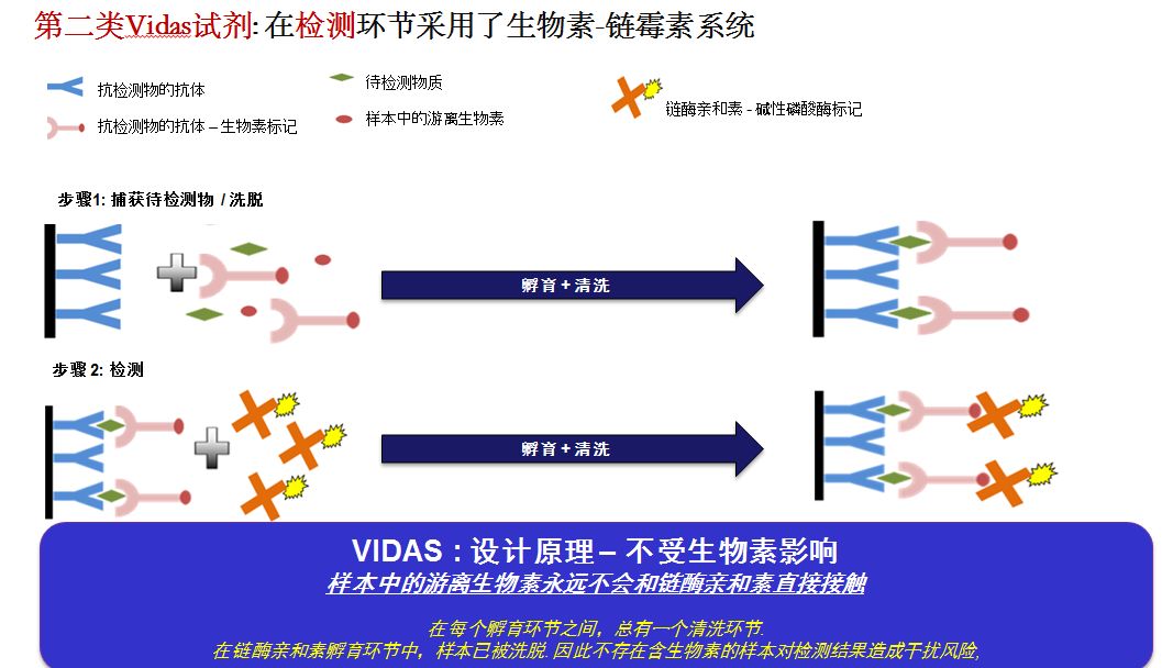 知否知否应是生物素耐受