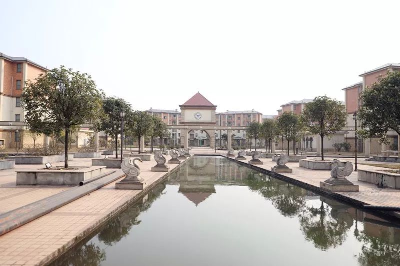 走进宗场:看新机场建设,观双龙湖景,再去感受"芽菜小镇"的无限风情!