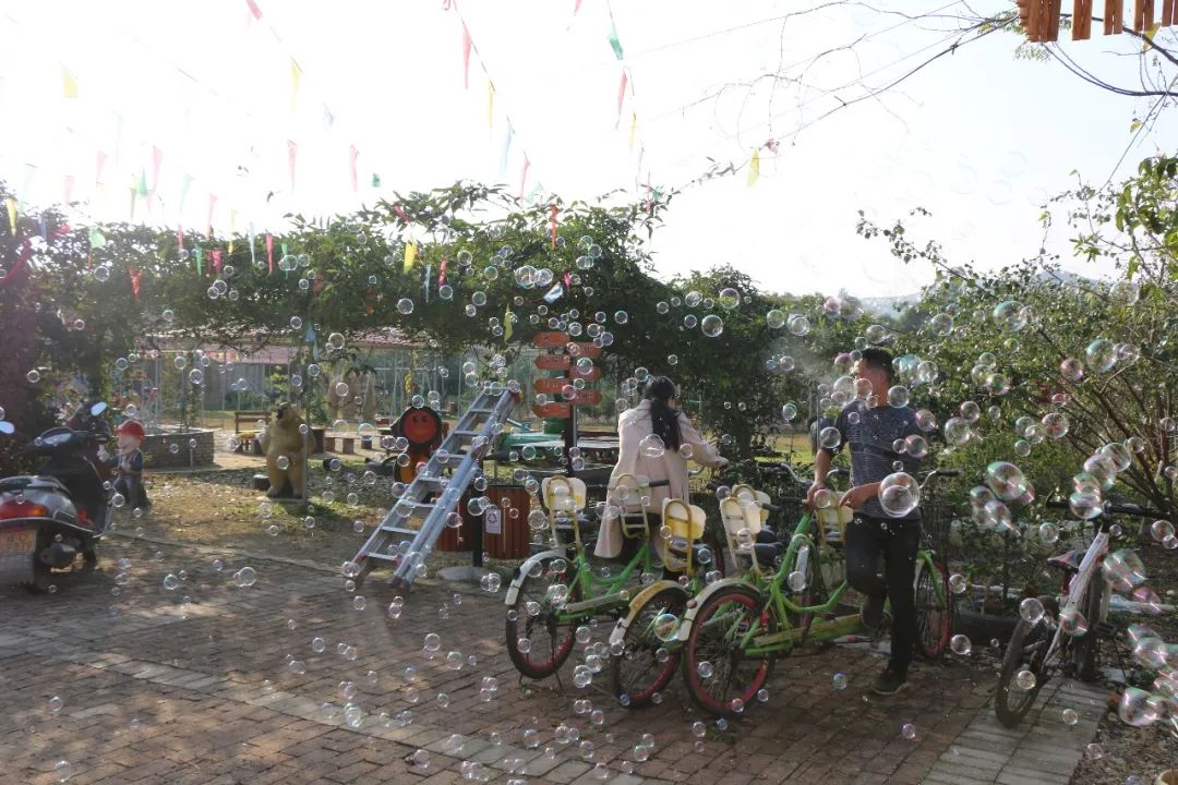 孔雀園春節送福利啦門票免費無限量領取