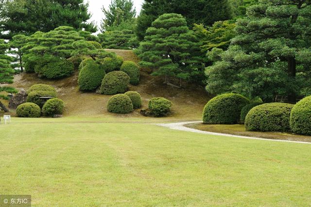 想學日本園藝專業?那你不能錯過千葉大學!