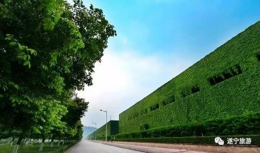 好消息捨得酒文化旅遊區成功創建四川省首批工業旅遊示範基地